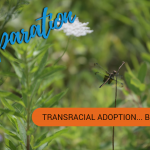 Preparing for Transracial Adoption